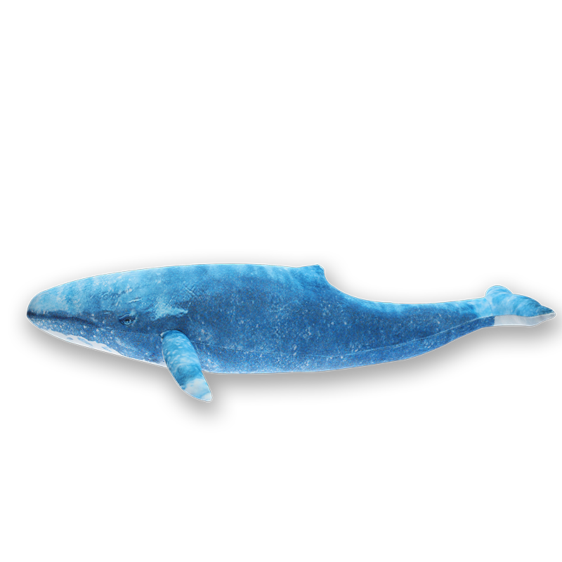 Peluche Baleine Grande Bleu | Peluche Italia